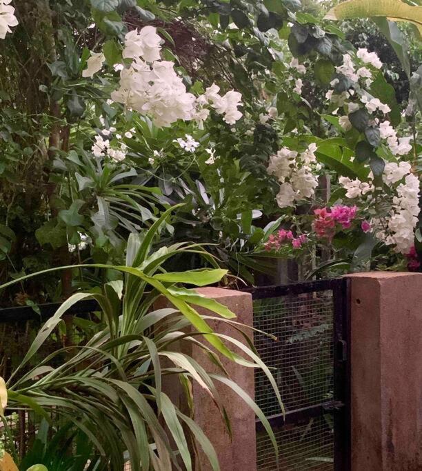 अपार्टमेंट The Burrow In South Goa.