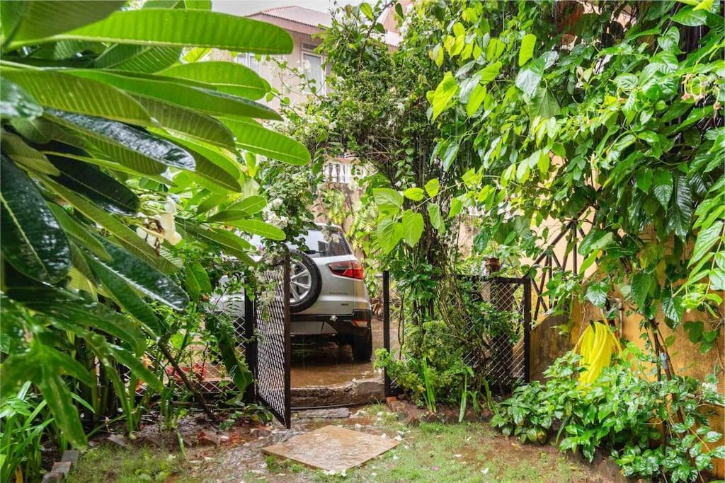 The Burrow In South Goa. Apartment *